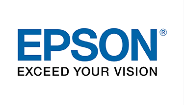 Epson Ink Cartridges